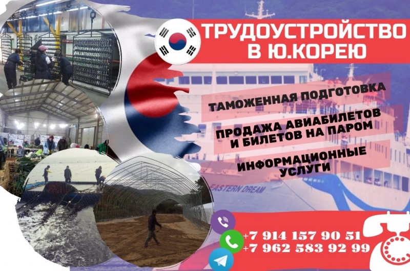 Трудоустройство в Ю.Корею